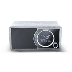 Sharp Digital Radio Grey DR-450(GR)